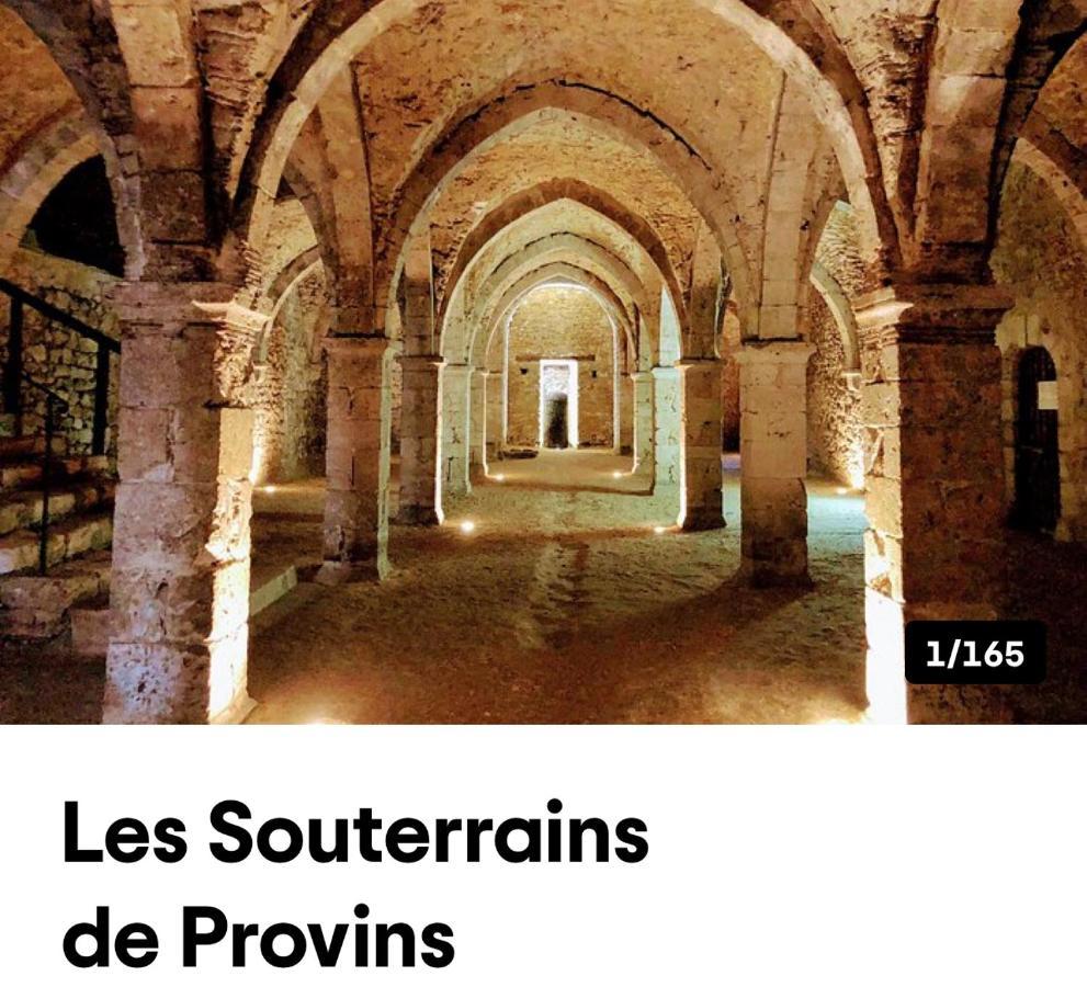 Harmonia Maison De Caractere Proche Provins Gouaix Buitenkant foto